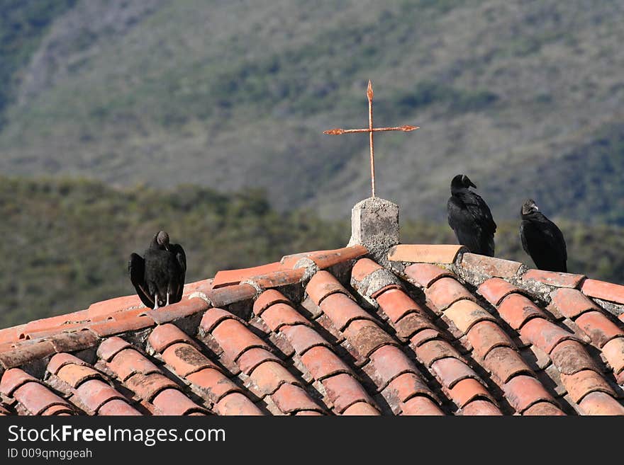 Black vultures and a cross in Andes