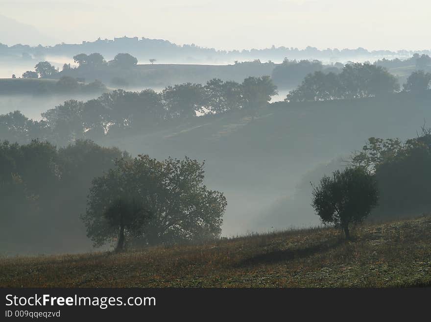 Hills and fog