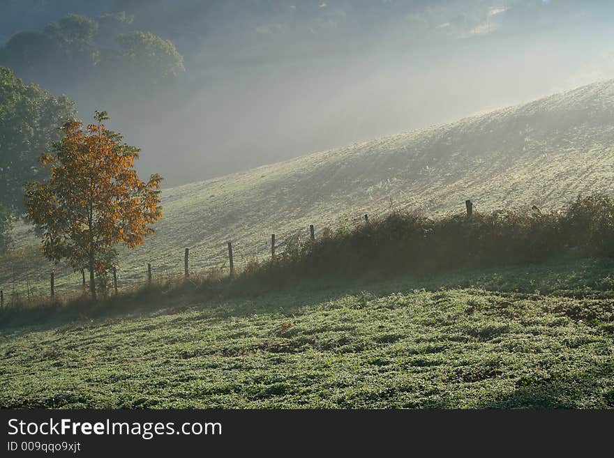 Hills and fog