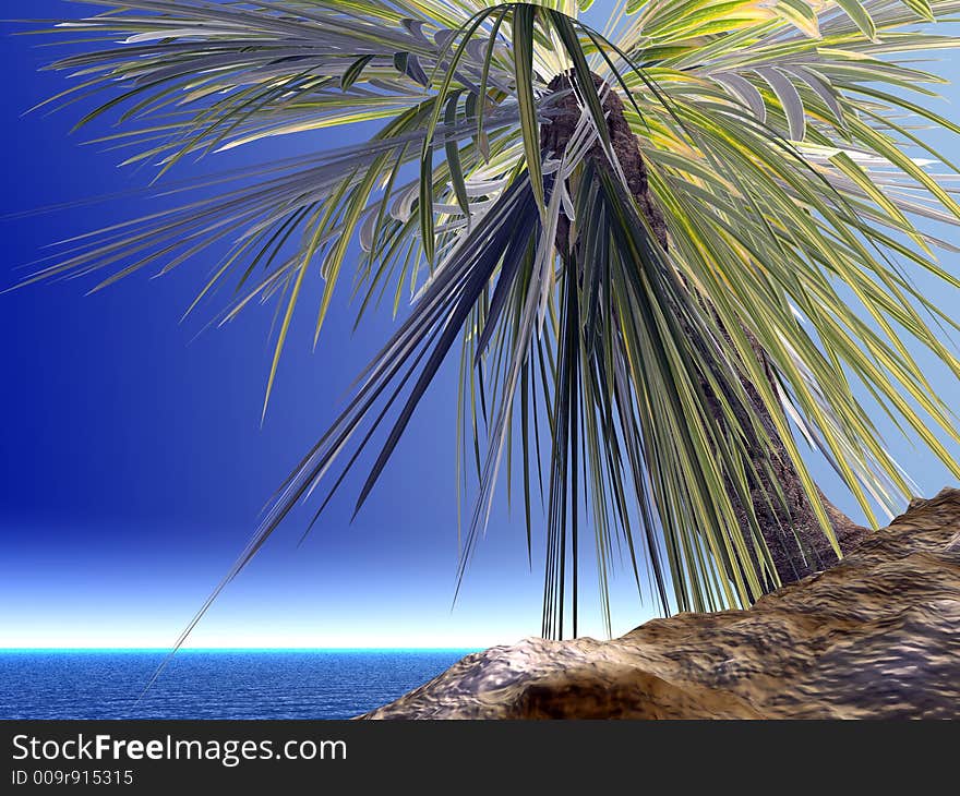 Single palm on the uninhabited island on a day