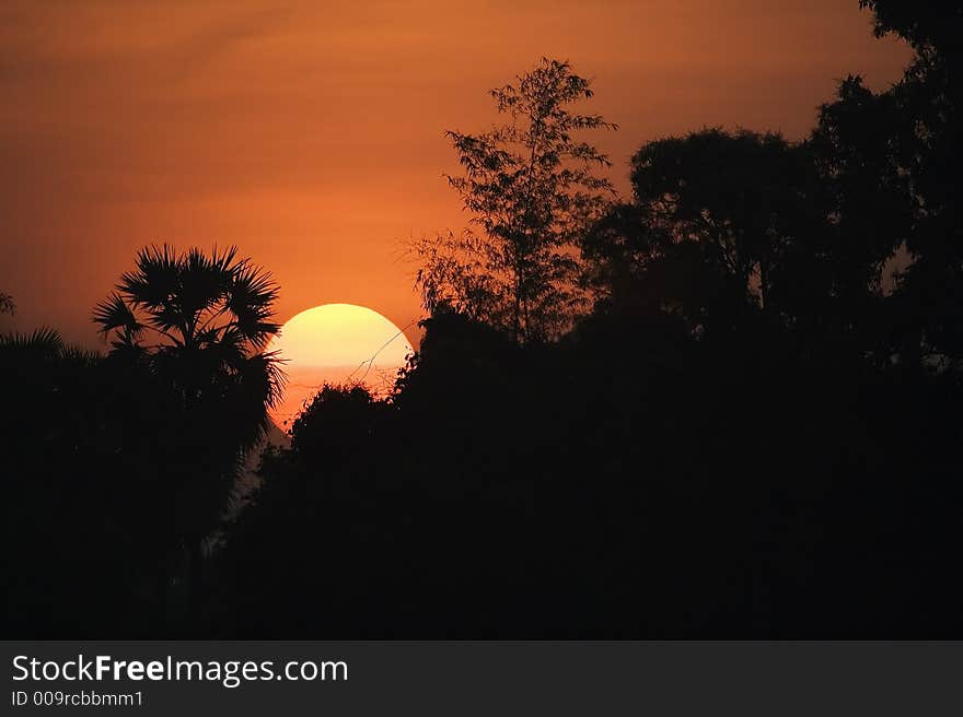 Scenic sunrise close up scenery in silhouette.