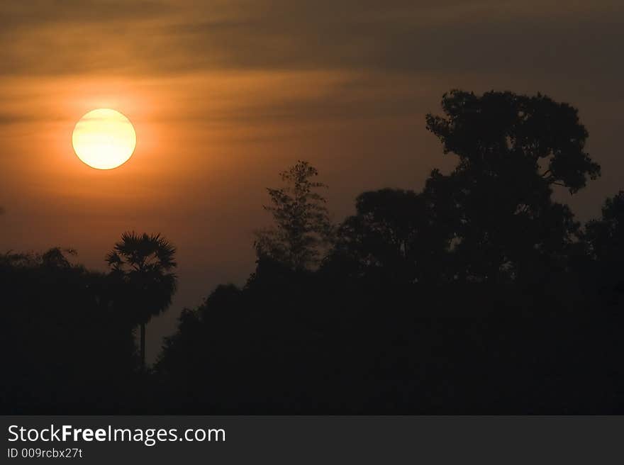 Scenic sunrise close up scenery in silhouette.