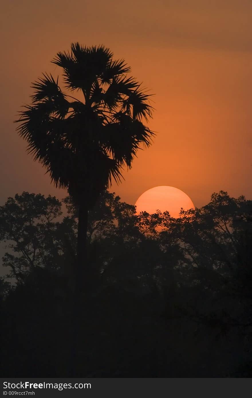 Scenic sunrise close up scenery in silhouette.