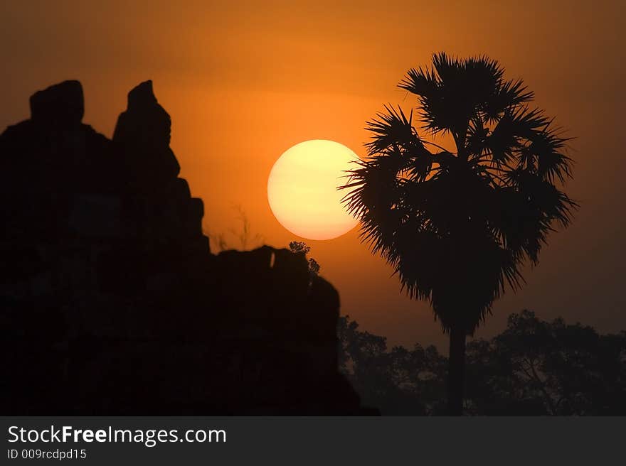 Scenic sunrise close up scenery in silhouette.