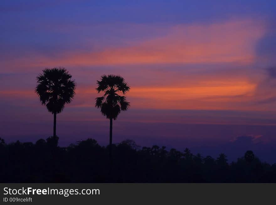 Scenic sunset close up scenery in silhouette.