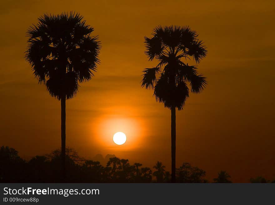 Scenic sunrise close up scenery in silhouette.