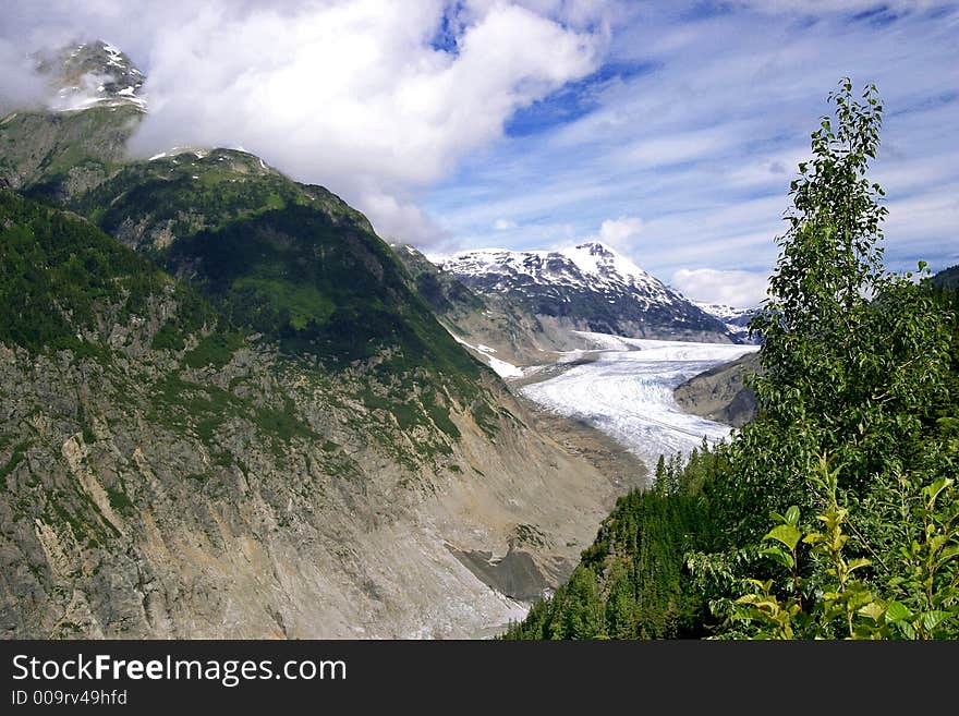 Salmon glacier