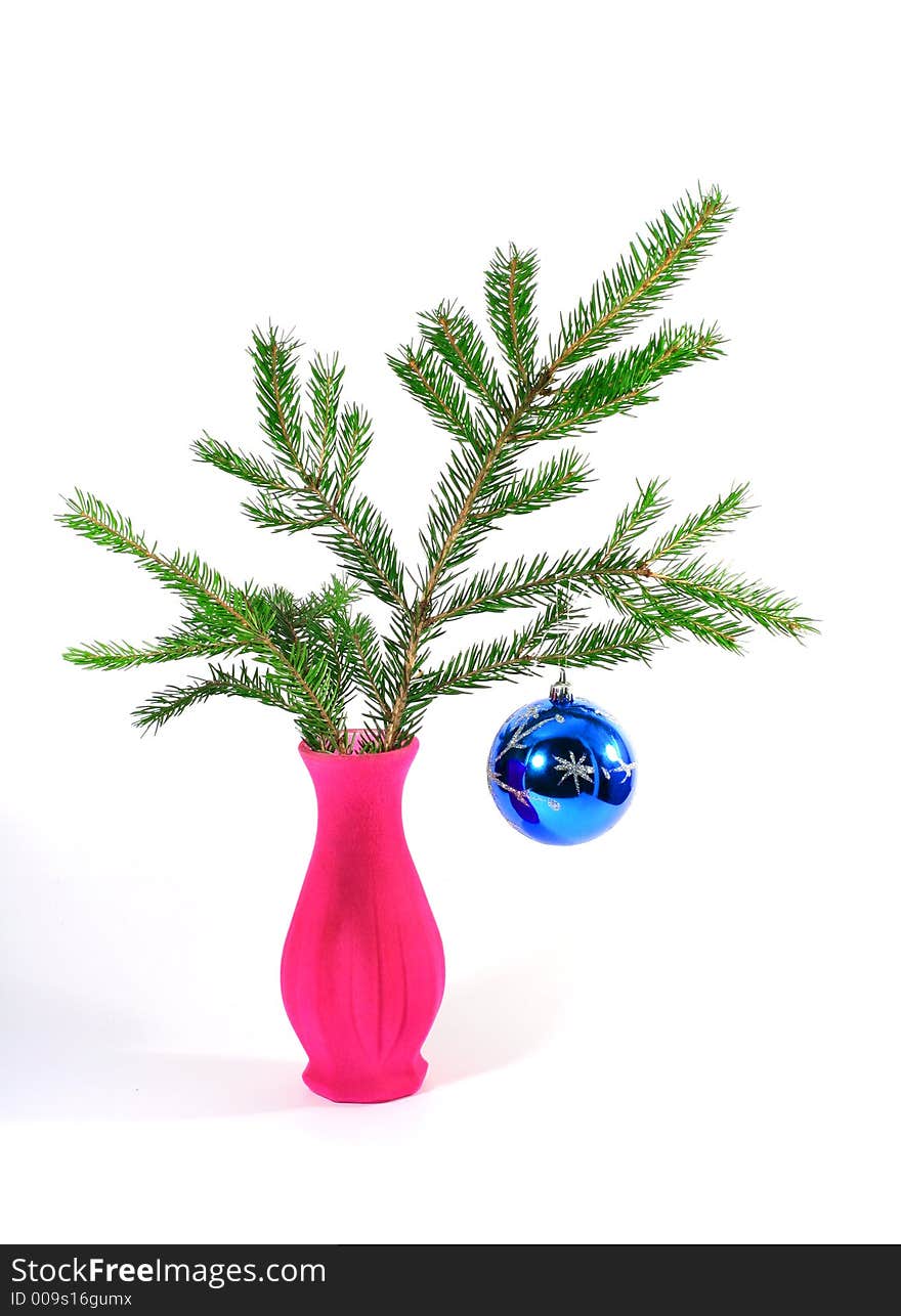 Christmas tree branch in pink vase