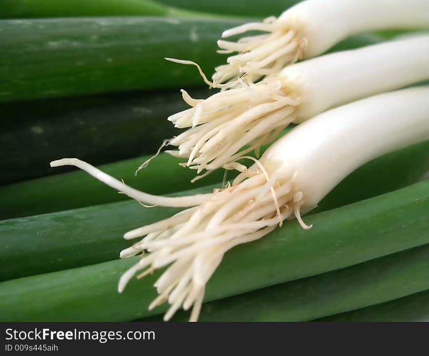 Lots of fresh spring onions on a white background. Lots of fresh spring onions on a white background