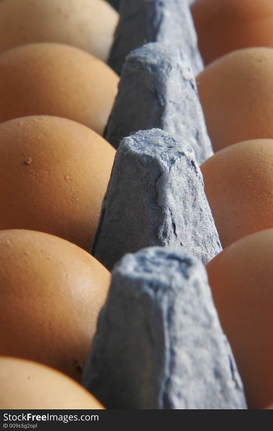 Close up of eggs in a tray