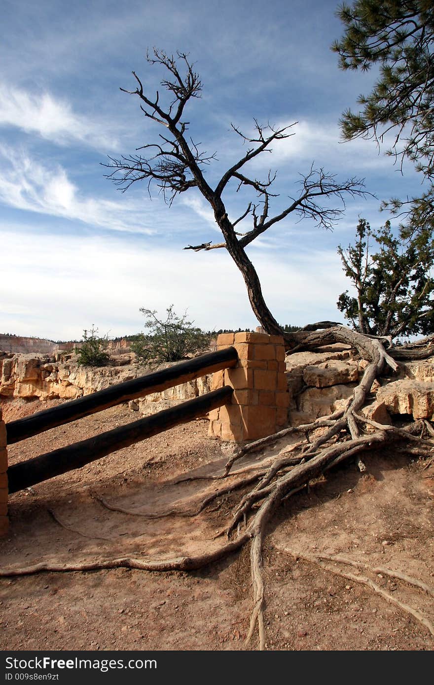 Bryce Canyon