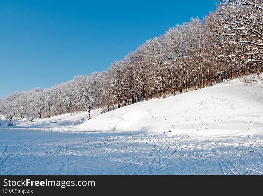 Trees in snow in winter, Russia. Trees in snow in winter, Russia