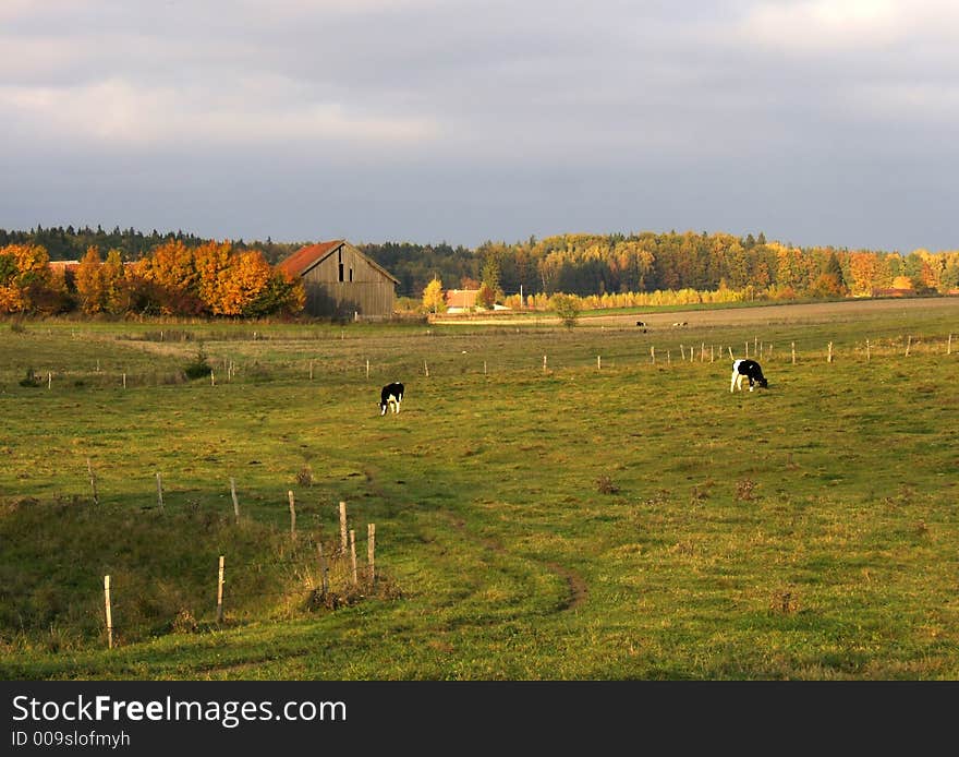 Colorful autumn landscape with farm