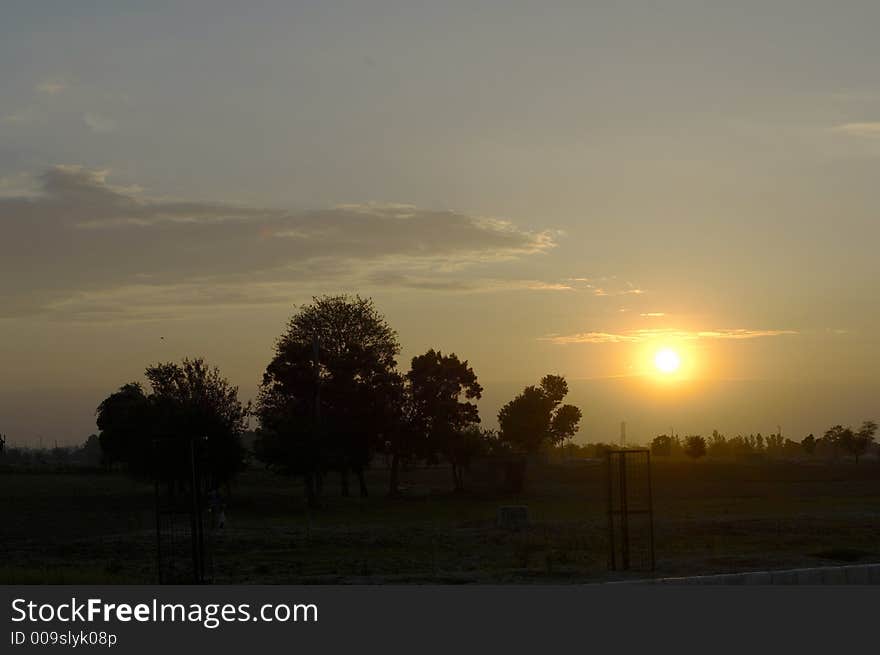 Silhouettes of trees with clouds at dusk