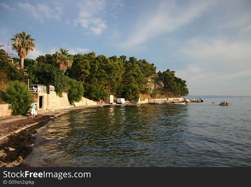 Seashore with palm trees and blue sky