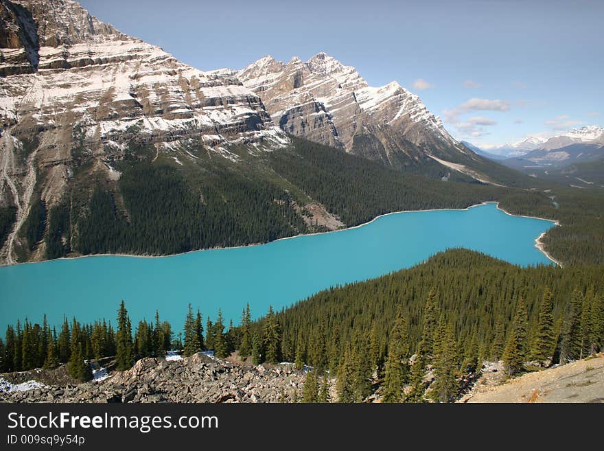 The glacire fed lake of Peyto Lake in the Canadian Rockies