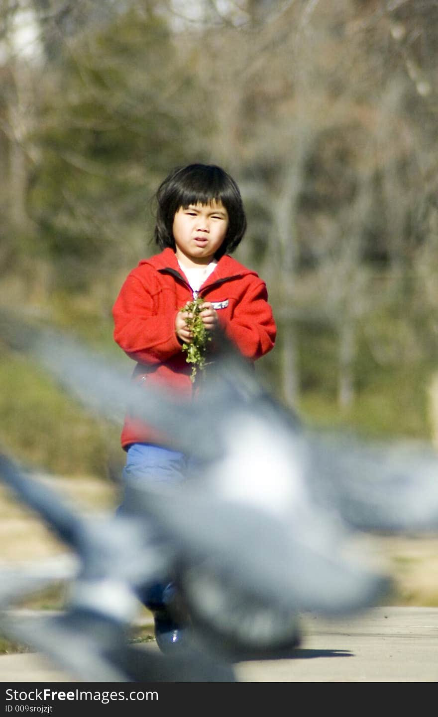 A cute Asian girl with her hands full in the middle distance approaches some birds flying into the foreground on a sunny autumn day.