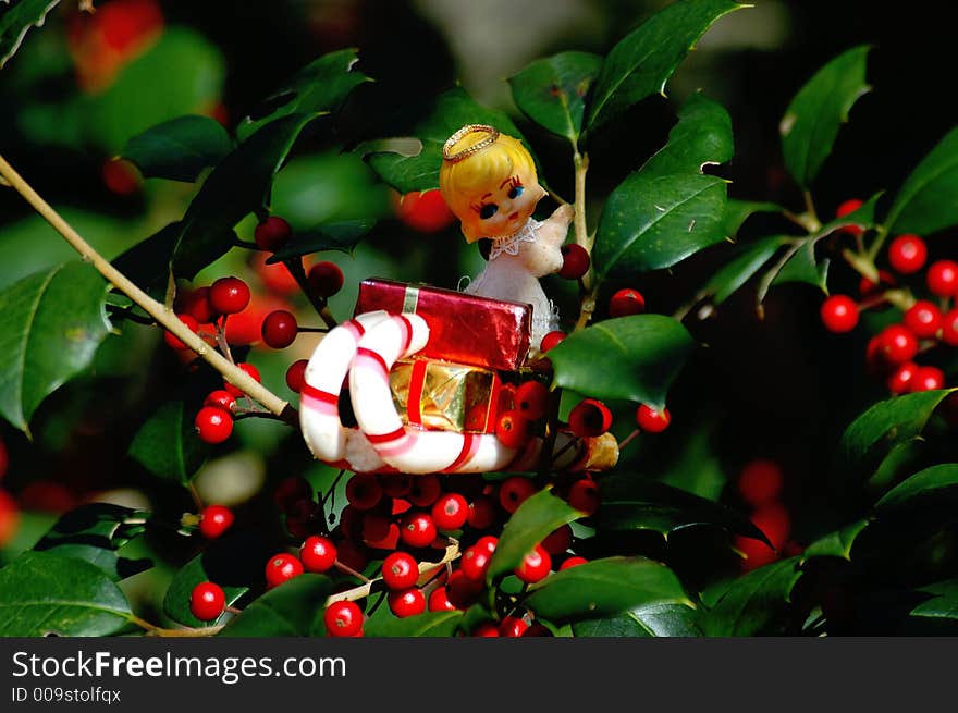 A Little Christmas Princess waiting for christmas. Checking the holly