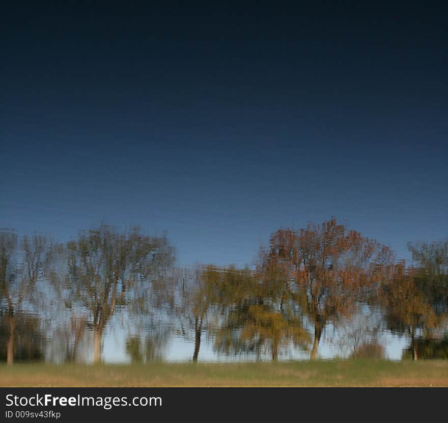 Reflection of fall trees in a crystal blue pond. Reflection of fall trees in a crystal blue pond