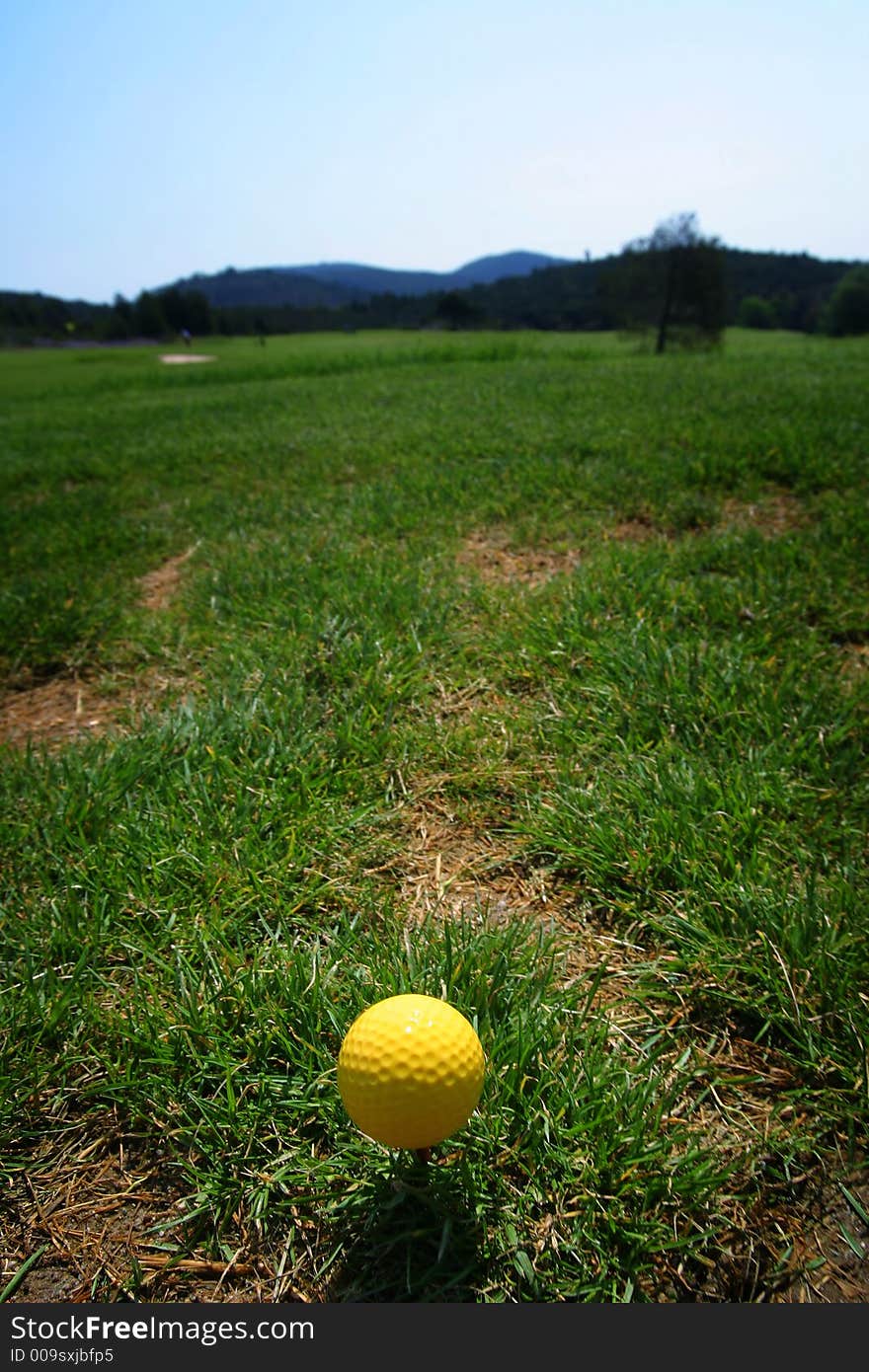 Golf Ball On Green Grass