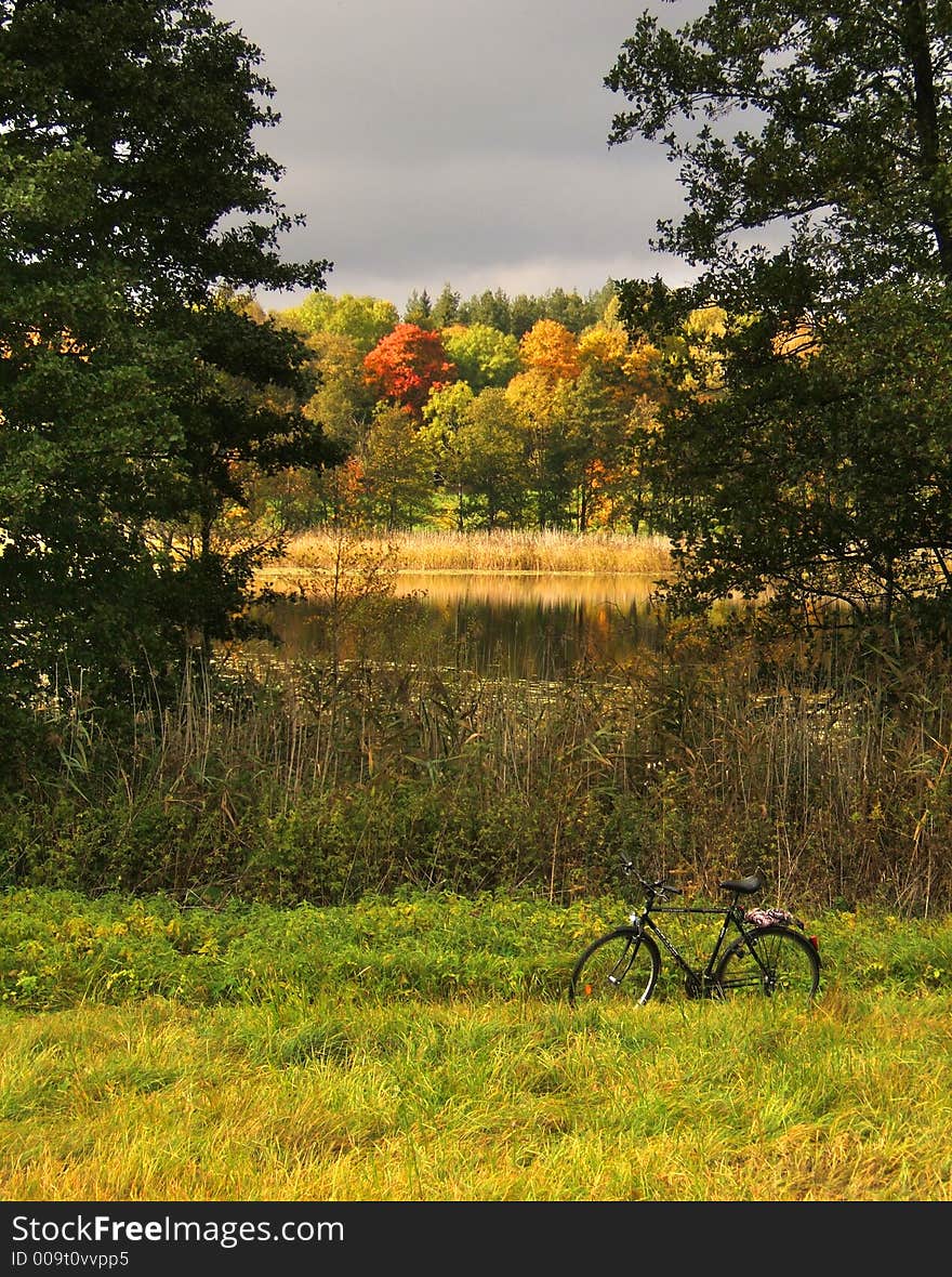 Colorful autumn landscape in sunlight