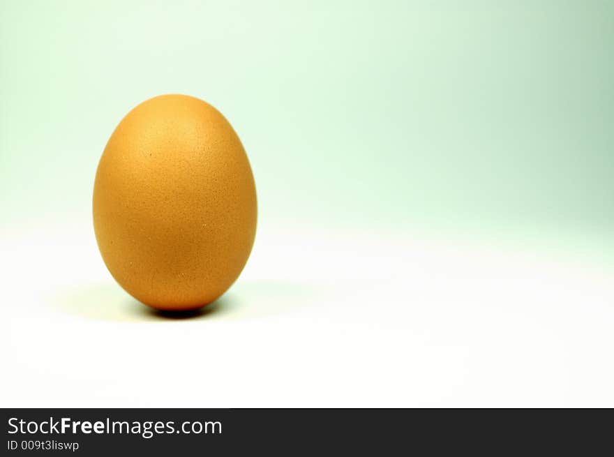 Egg standing.Cardboard Egg Support . Egg standing.Cardboard Egg Support .