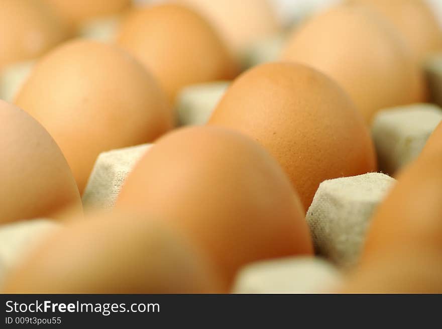 Egg standing.Cardboard Egg Support . Egg standing.Cardboard Egg Support .