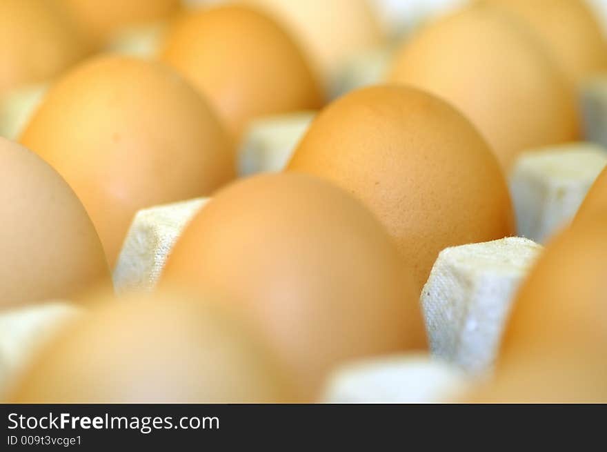 Egg standing.Cardboard Egg Support . Egg standing.Cardboard Egg Support .