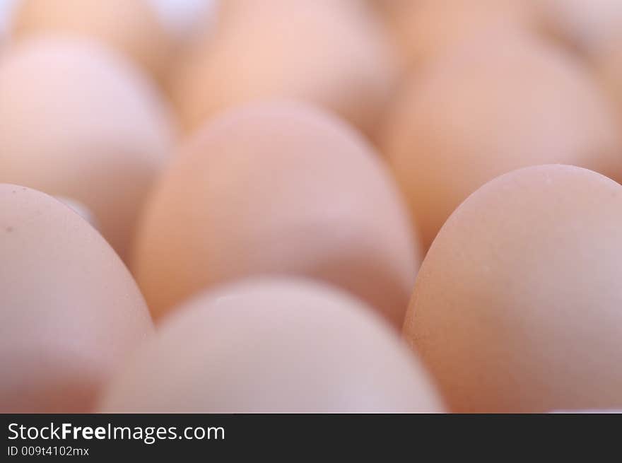 Egg standing.Cardboard Egg Support . Egg standing.Cardboard Egg Support .