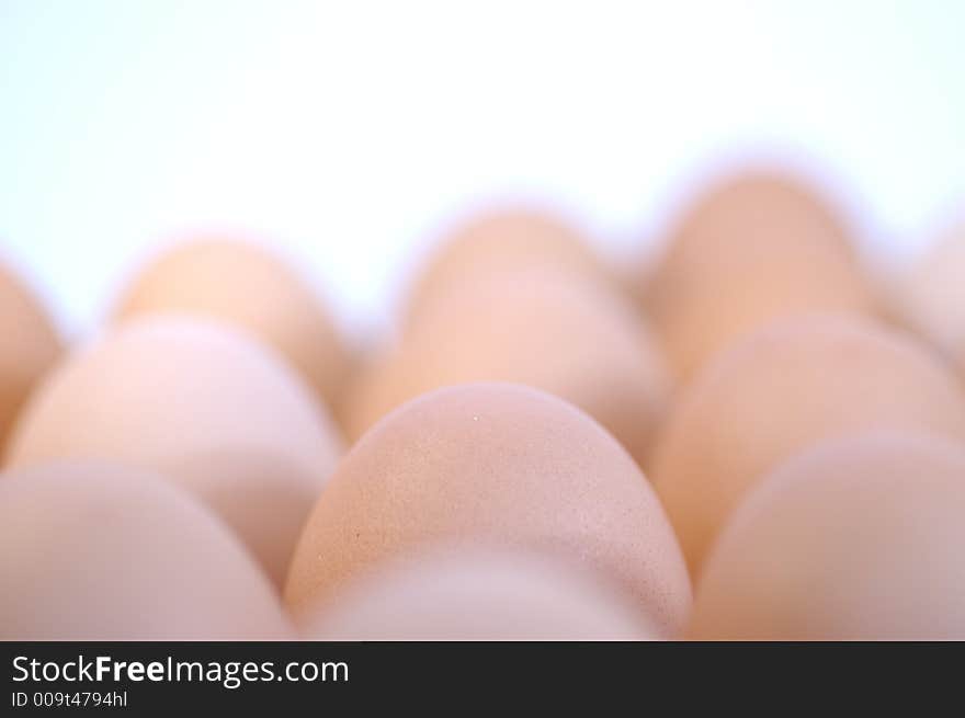 Egg standing.Cardboard Egg Support . Egg standing.Cardboard Egg Support .