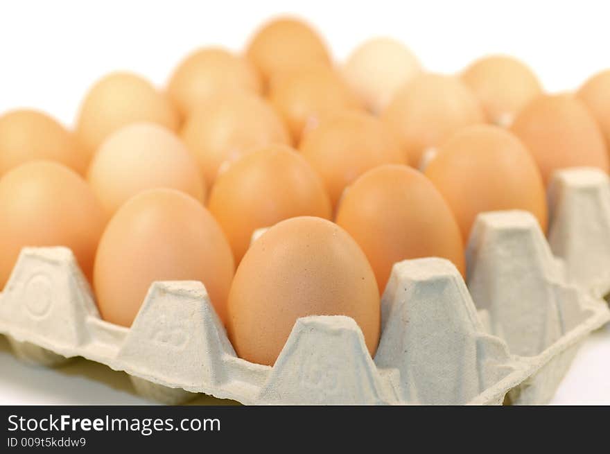 Egg12