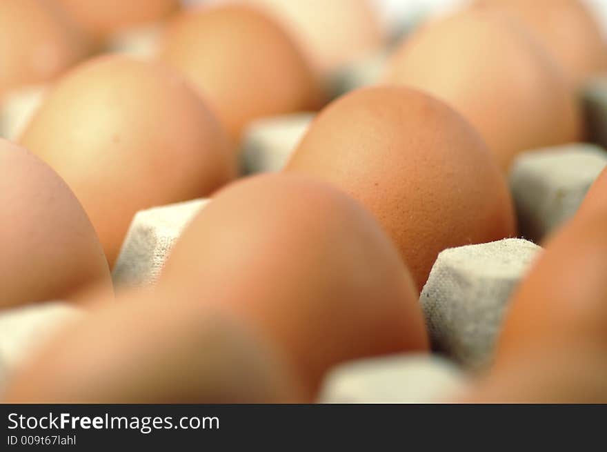 Egg standing.Cardboard Egg Support . Egg standing.Cardboard Egg Support .