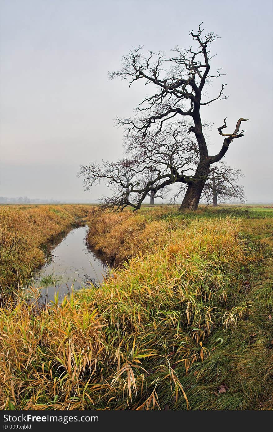 Landscape-meadow between fall and winter