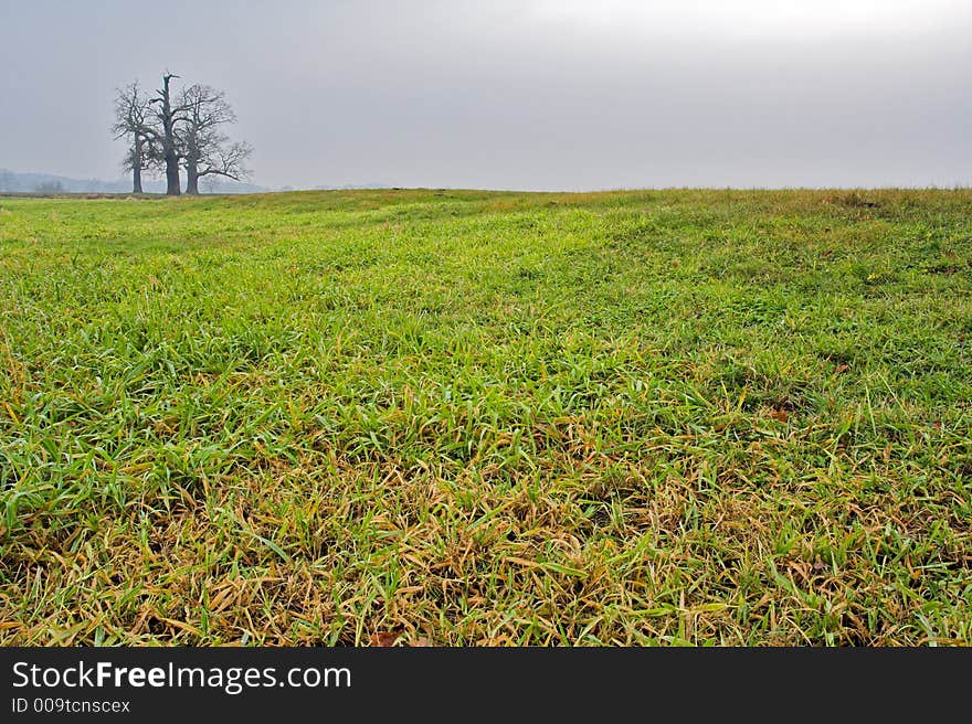 Landscape-meadow between fall and winter