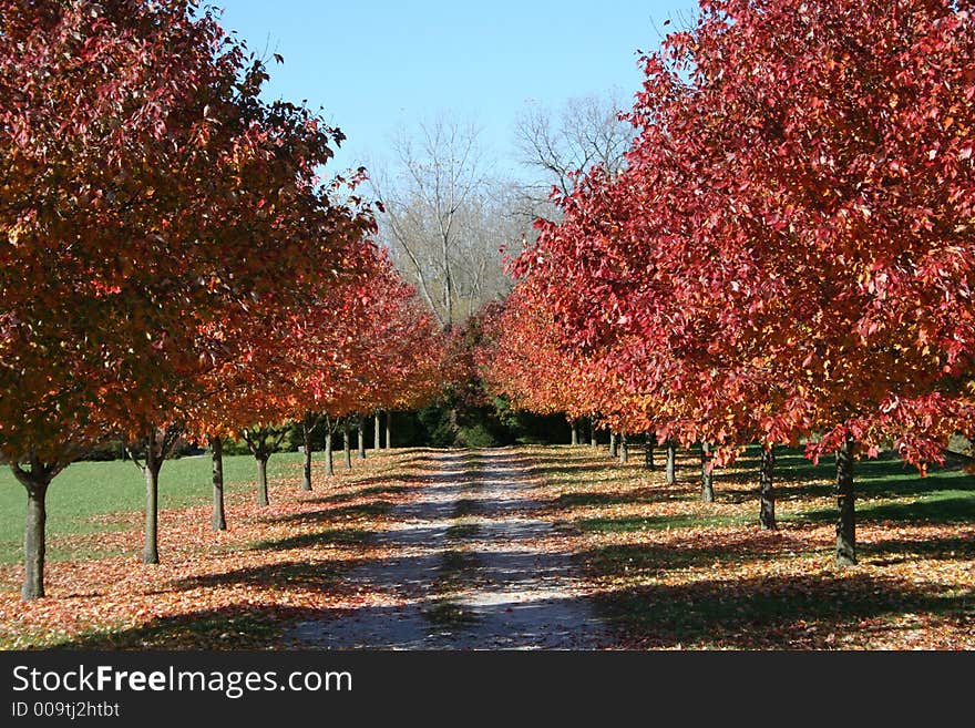 Fall Colors at Their Best. Fall Colors at Their Best