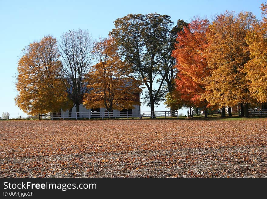 A Beautiful Autumn Day