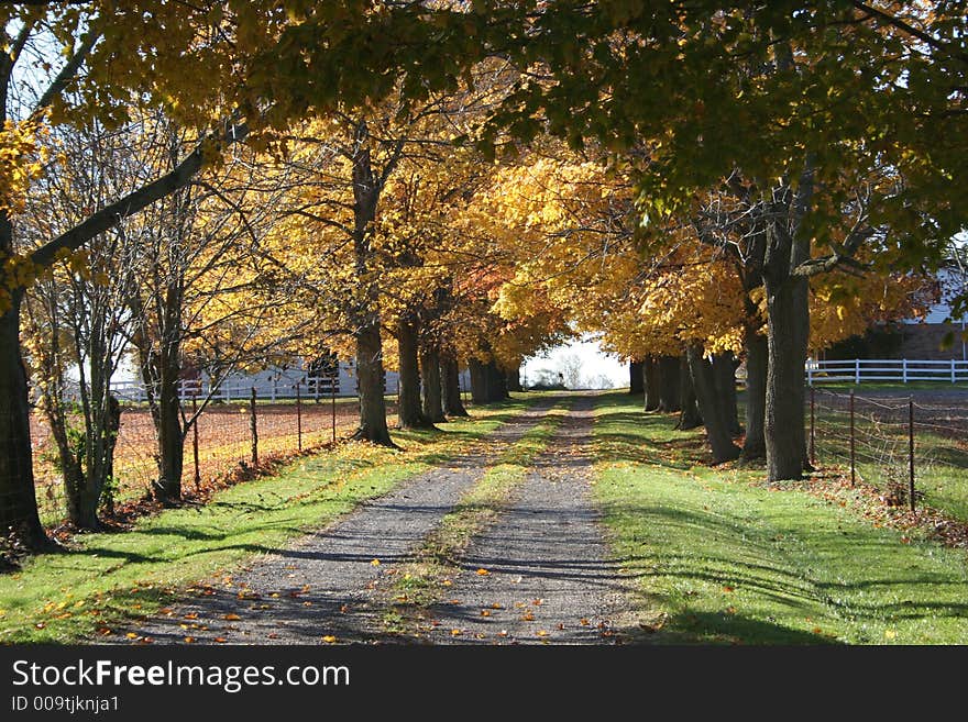 Fall Colors at Their Best. Fall Colors at Their Best