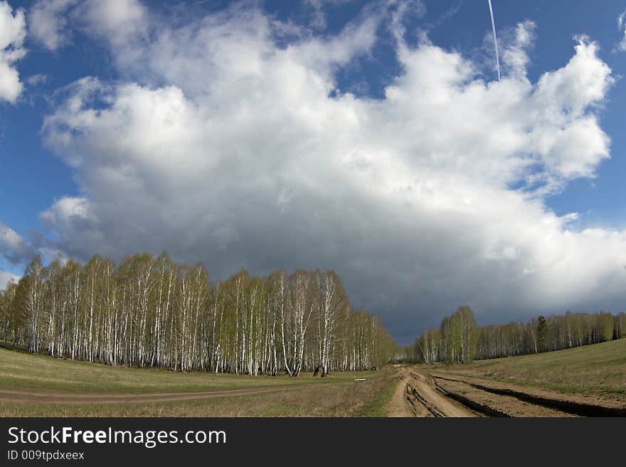 Spring landscape with birch forest, road, field and  clouds.