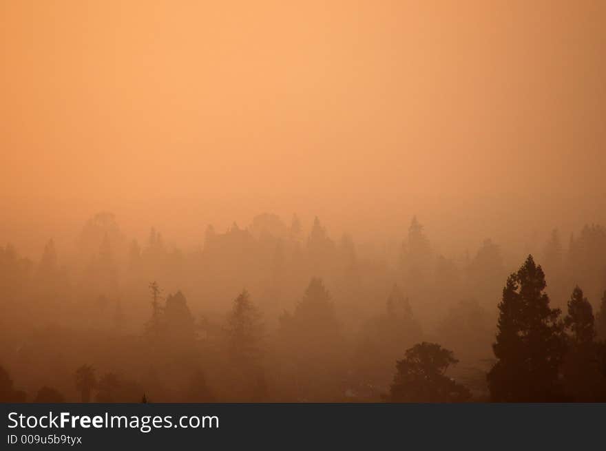 A foggy start to the day lit by the morning sun. A foggy start to the day lit by the morning sun.