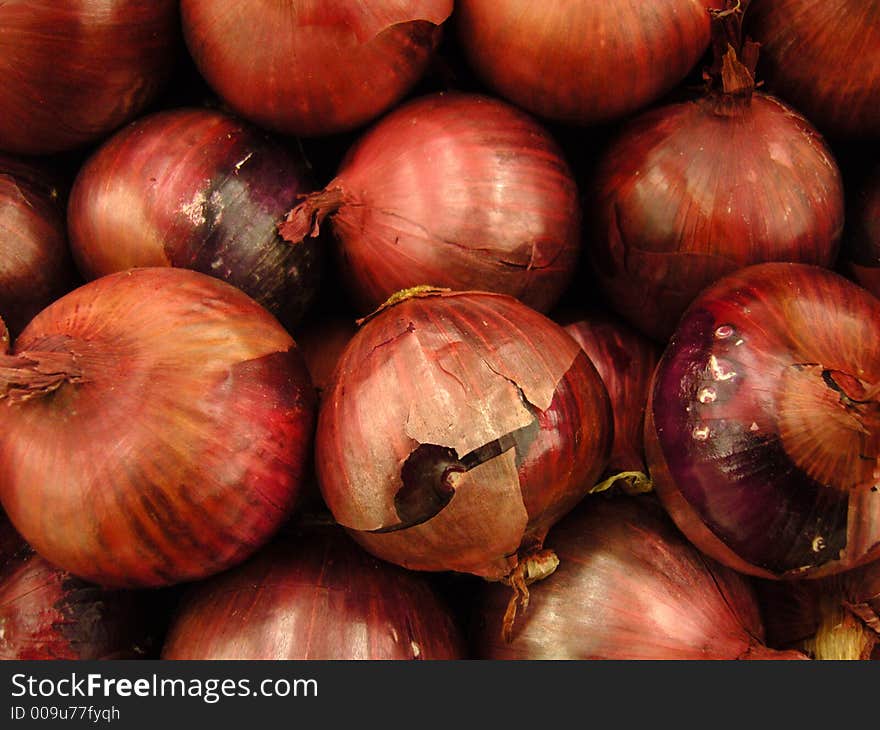 Fresh Onions 2