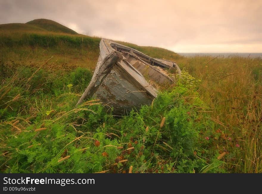 Abandoned Boat in Grass