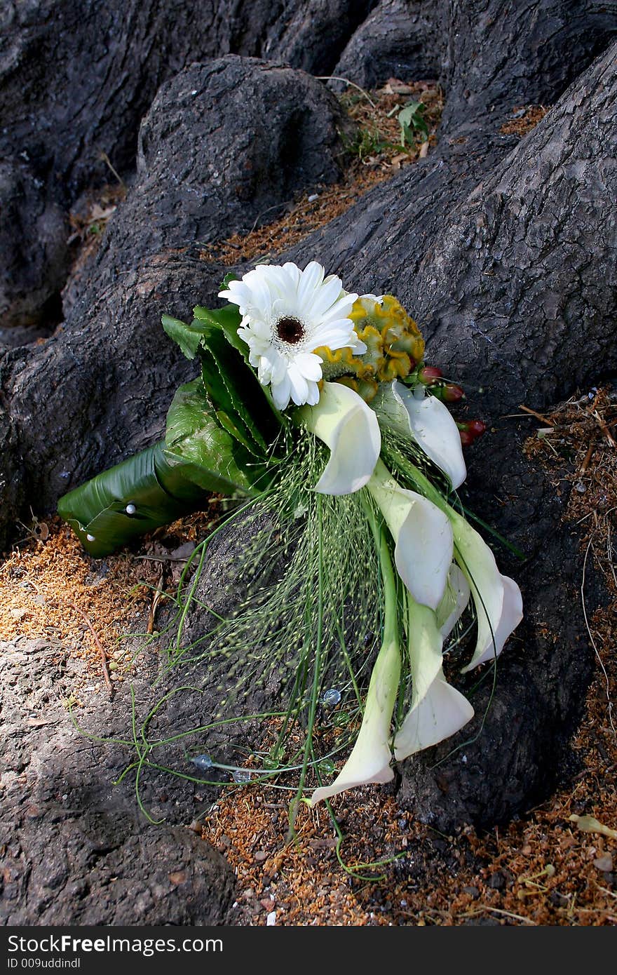 A wedding bouquet dropped on the roots of a tree