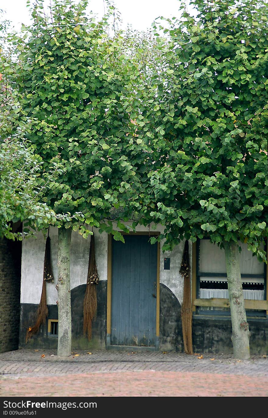 Old house with door and threes. Old house with door and threes