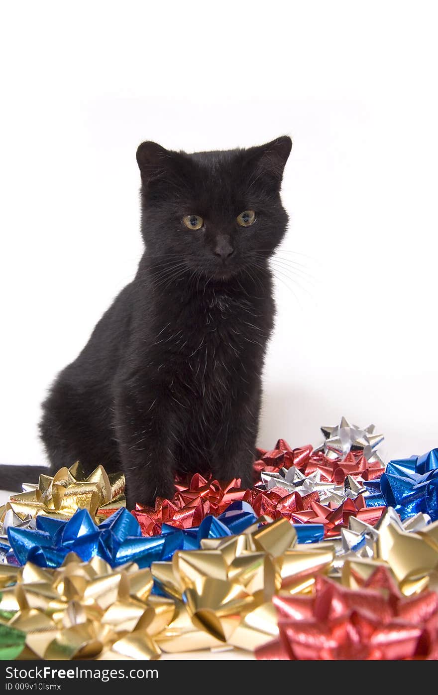 A black cat sits amongst a pile of Christmas bows on a white background. A black cat sits amongst a pile of Christmas bows on a white background