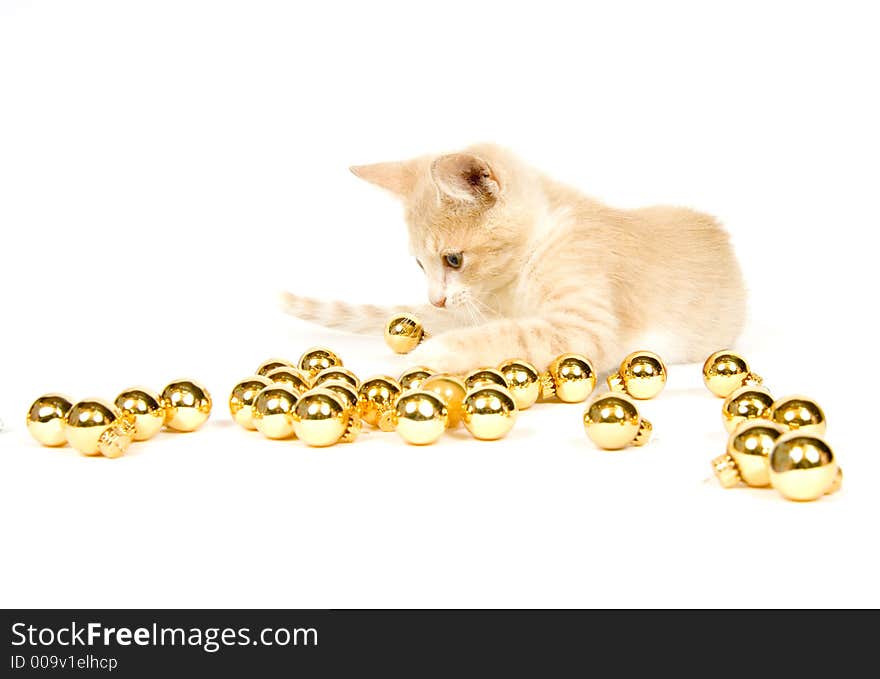 A yellow kitten plays with Christmas decorations and ornaments on a white background. A yellow kitten plays with Christmas decorations and ornaments on a white background