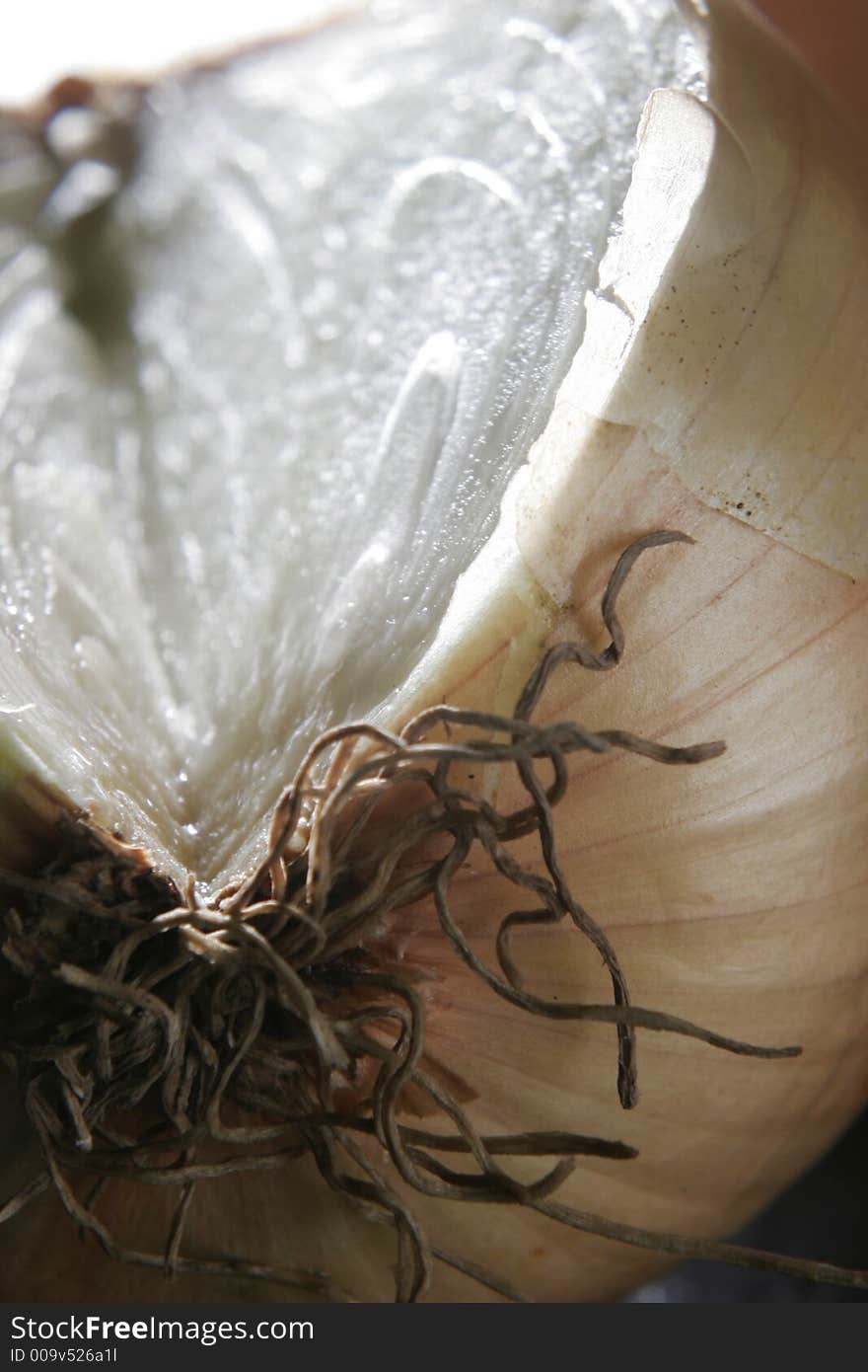 Close up pf Sliced Onion fading focus