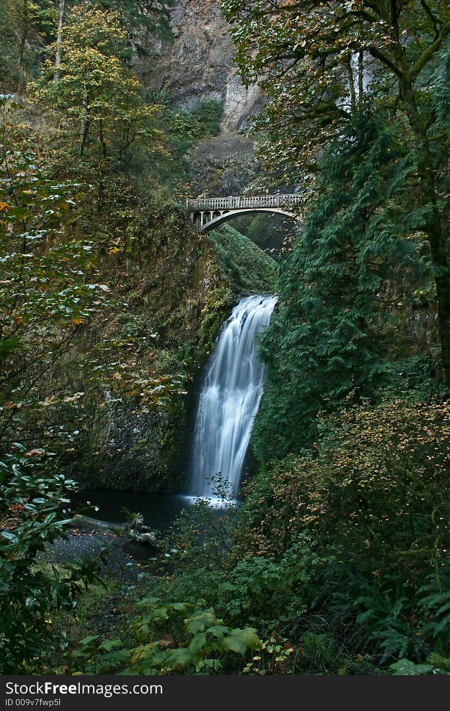 Multnomah Falls near Portland, Oregon