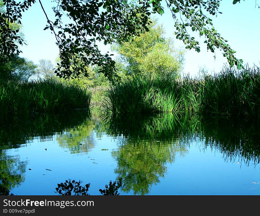 Green reflect, blue sky, trees over sky, autumn 2006 year