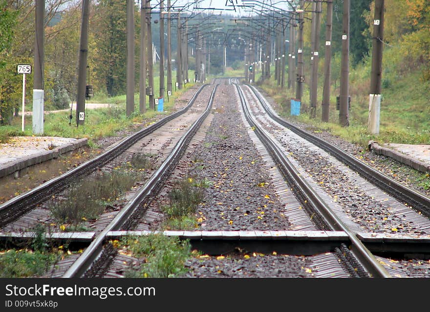 Perspective of rail tracks in the forrest. Perspective of rail tracks in the forrest