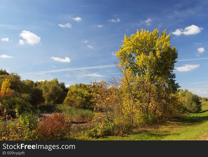 Autumn landscape - green  trees, blue sky